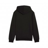 Puma ESS+ 2 Col Big Logo Hoodie FL (586987 60)