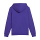 Puma ESS+ LOGO LAB Gradient Hoodie FL B (681843 27)