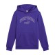 Puma ESS+ LOGO LAB Gradient Hoodie FL B (681843 27)
