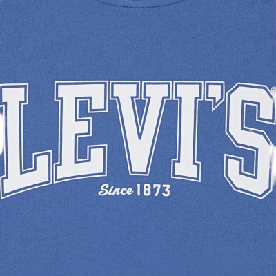 Levi's LVB THE GREAT HIGHWAY HOODIE (8EN718-U6K)