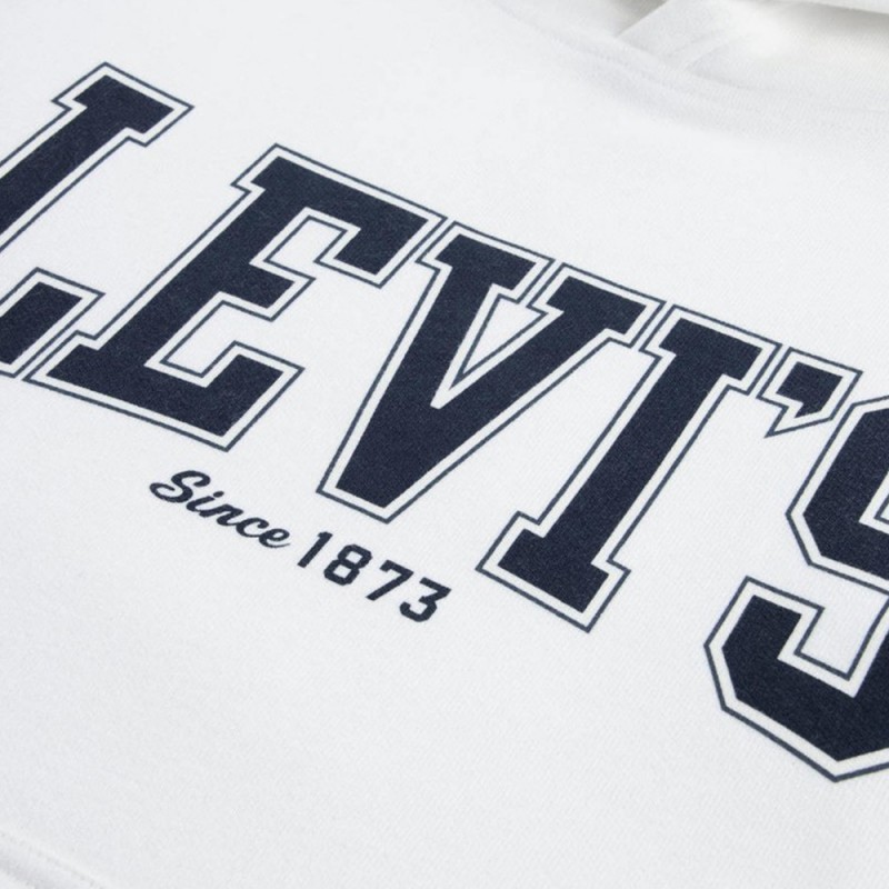 Levi's LVB THE GREAT HIGHWAY HOODIE (8EN718-W8J)