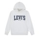 Levi's LVB THE GREAT HIGHWAY HOODIE (8EN718-W8J)