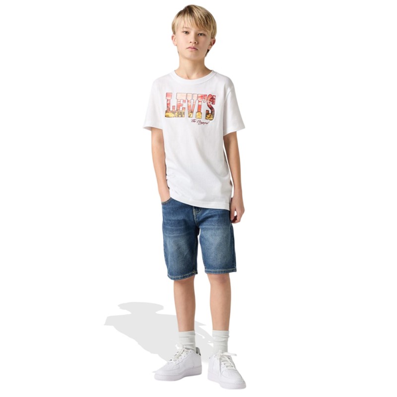 Levi's LVB OFF ROAD TEE (9EM789-W1T)