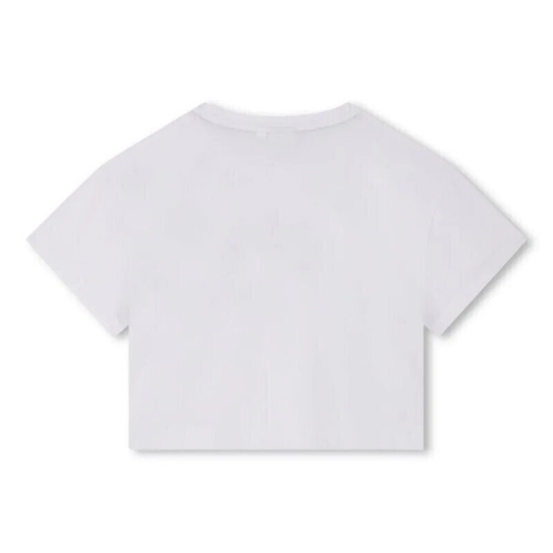 HUGO BOSS T-SHIRT (G01017 10P)
