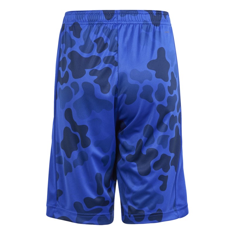 Adidas J TR-ES AOP SH (IR7525)