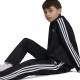 Adidas FIREBIRD PANTS (IY9805)