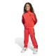 Adidas FIREBIRD TS (JY1146)