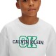 Calvin Klein VARSITY LOGO SS T-SHIRT (LVCKSJA11B YAF)